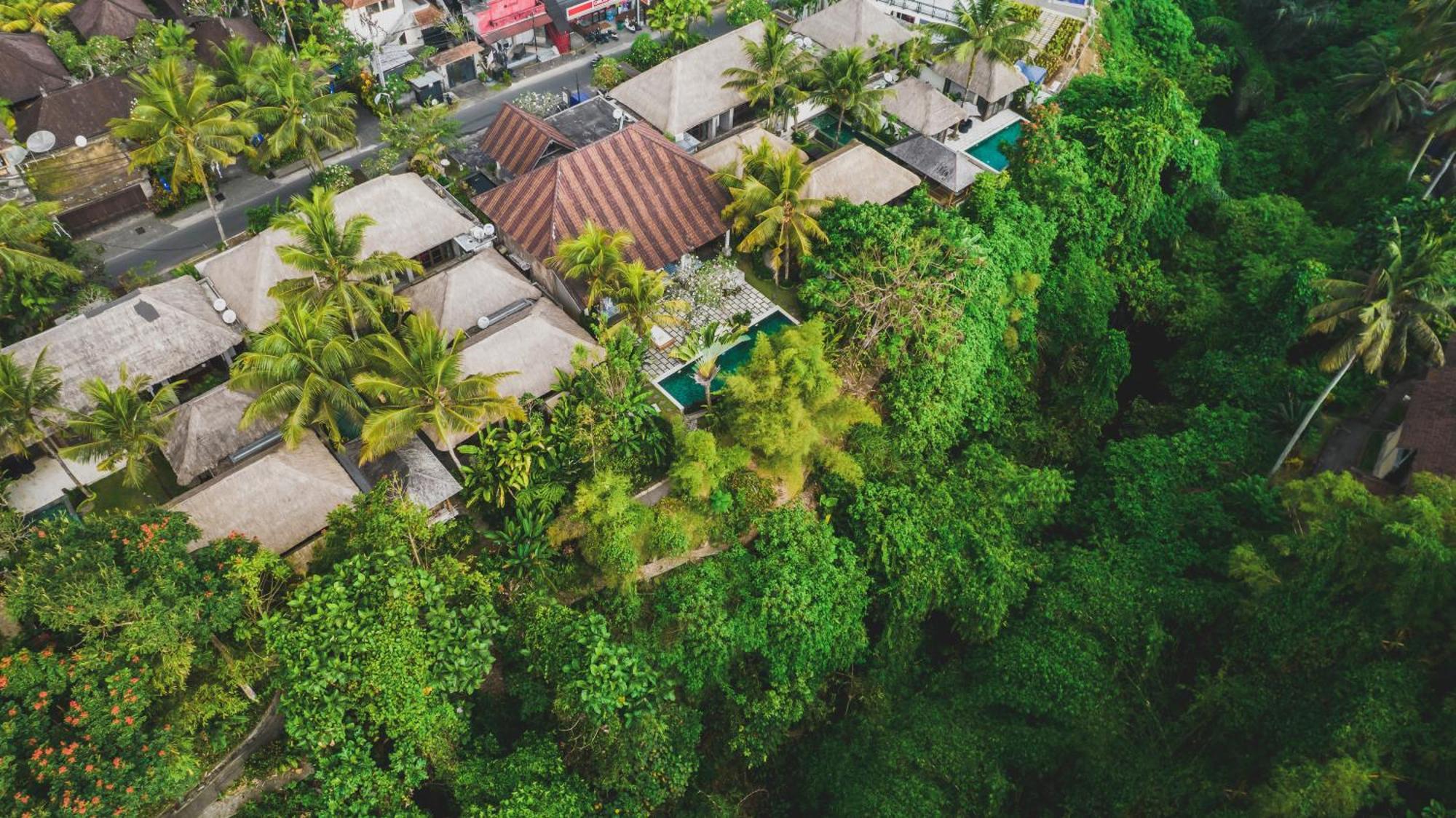 Вилла Luwak Estate Убуд Экстерьер фото